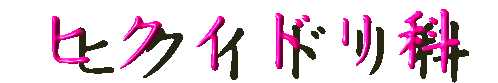 ヒクイドリ科