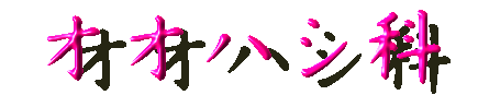 オオハシ科